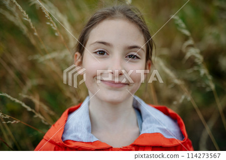 Portrait of beautiful young girl standing in nature, in the middle of tall grass, headshot. Copy space. 114273567