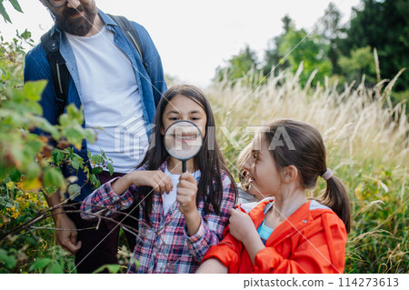 Young students learning about nature, forest ecosystem during biology field teaching class, observing wild plants with magnifying glass. Dedicated teachers during outdoor active education. 114273613