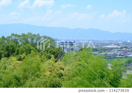 View of the large torii gate from Kunohehiko Shrine at Ogami Shrine in Nara 114273639