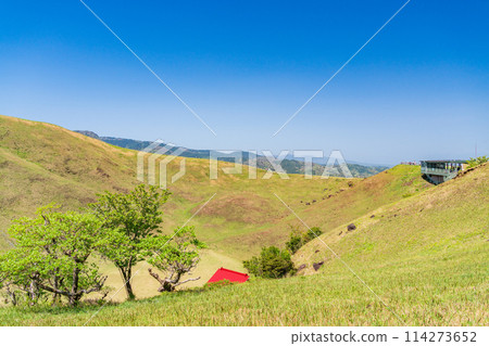 (Shizuoka Prefecture) Fresh greenery at the summit crater of Mt. Omuroyama 114273652