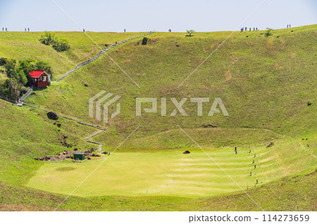 （靜岡縣）鮮綠的大室山、山頂火山口 114273659