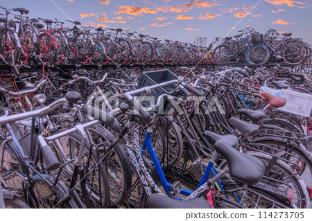 Large Bicycles Parking Lot and Sunset Sky in Amsterdam Large Bicycles Parking Lot and Sunset Sky in Amsterdam 114273705