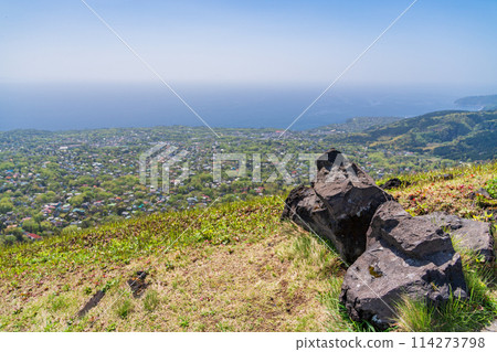 （靜岡縣）從山頂散步道看到大室山、伊豆高原方向的新綠 114273798