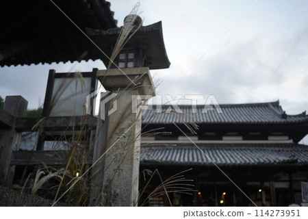 Miidera Temple - Scenery through the Japanese pampas grass Miidera Temple - Scenery through the Japanese pampas grass 114273951