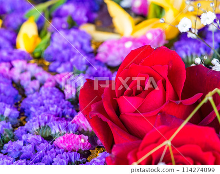 Colorful and fun flower water basin to brighten up the New Year Colorful and fun flower water basin to brighten up the New Year 114274099