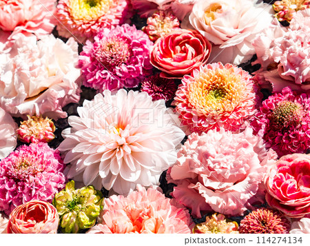 Colorful and fun flower water basin to brighten up the New Year Colorful and fun flower water basin to brighten up the New Year 114274134