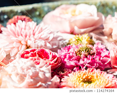 Colorful and fun flower water basin to brighten up the New Year Colorful and fun flower water basin to brighten up the New Year 114274164