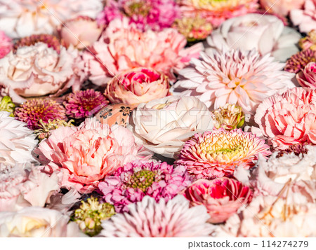 Colorful and fun flower water basin to brighten up the New Year Colorful and fun flower water basin to brighten up the New Year 114274279