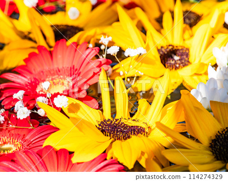Colorful and fun flower water basin to brighten up the New Year Colorful and fun flower water basin to brighten up the New Year 114274329