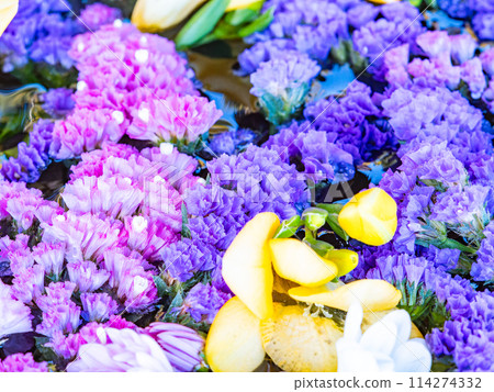 Colorful and fun flower water basin to brighten up the New Year Colorful and fun flower water basin to brighten up the New Year 114274332