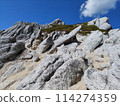 Mt. 114274359