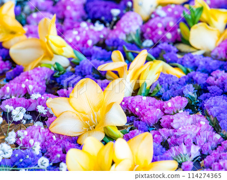 Colorful and fun flower water basin to brighten up the New Year 114274365