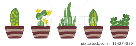 Beautiful floral border for decor design. Flower pots with cacti and succulents. Spring flora. Floral abstract illustration. Hand drawn. Modern Art. Design element 114274859