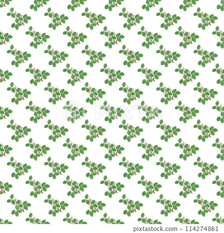 Succulent plant in a modern abstract simple style. Bright background of floral pattern. Forest seamless pattern in gouache. Modern abstract background template Succulent plant in a modern abstract simple style. Bright background of floral pattern. Forest seamless pattern in gouache. Modern abstract background template 114274861