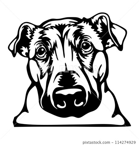 Peeking Rhodesian Ridgeback - Dog lover owner gift - Dog cut file - Peeking Dog Cut Stencil Peeking Rhodesian Ridgeback - Dog lover owner gift - Dog cut file - Peeking Dog Cut Stencil 114274929