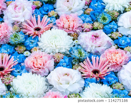 Colorful and fun flower water basin to brighten up the New Year Colorful and fun flower water basin to brighten up the New Year 114275186