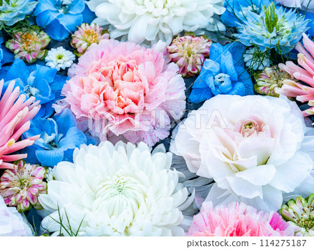 Colorful and fun flower water basin to brighten up the New Year Colorful and fun flower water basin to brighten up the New Year 114275187