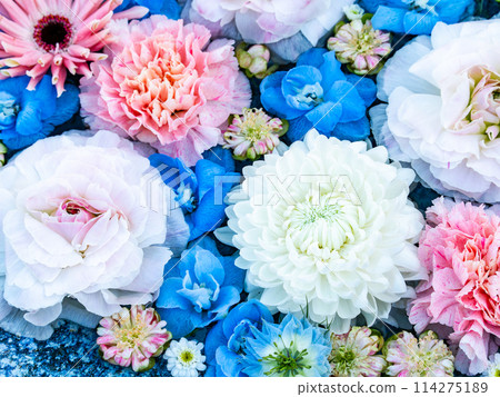 Colorful and fun flower water basin to brighten up the New Year Colorful and fun flower water basin to brighten up the New Year 114275189