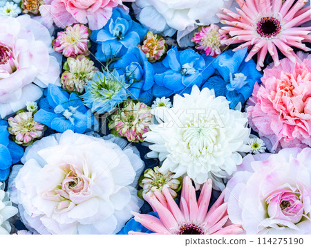 Colorful and fun flower water basin to brighten up the New Year 114275190