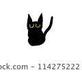 Black cat sitting 114275222