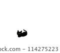 Black cat curled up 114275223