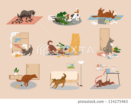 Mess dogs. Domestic animals with behavior interior destroying home furniture recent vector pets making mess Mess dogs. Domestic animals with behavior interior destroying home furniture recent vector pets making mess 114275463