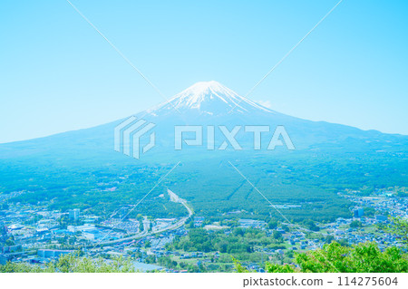 從展望台看到美麗的富士山 114275604