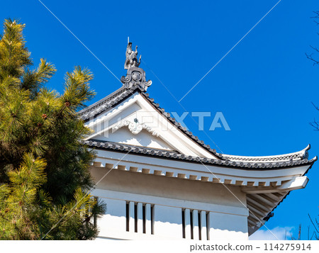 延城忍城遺址一覽 藍天下永不倒塌的堅不可摧的城堡的細節 114275914