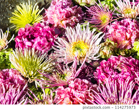 Colorful and fun flower water basin to brighten up the New Year 114275973