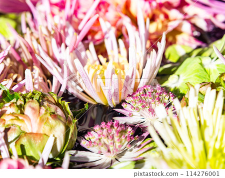 繽紛有趣的花手水點亮新年 114276001