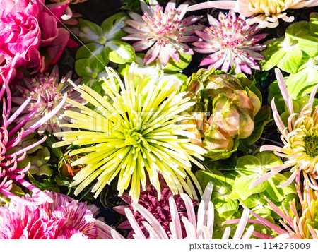 繽紛有趣的花手水點亮新年 114276009