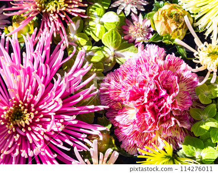 繽紛有趣的花手水點亮新年 114276011