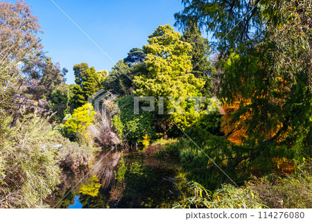 Royal Botanic Gardens in Melbourne Australia 114276080