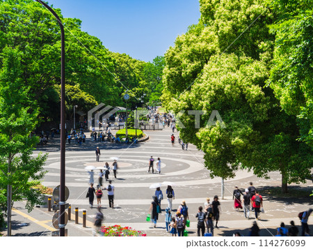 Yoyogi Park Harajuku Gate during Golden Week Yoyogi Park Harajuku Gate during Golden Week 114276099