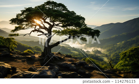 Beautiful photos at the top of a beautiful mountain and river , with morning sunlight, very cool and comfortable , Generate AI 114276115
