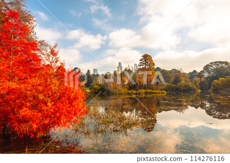 Royal Botanic Gardens in Melbourne Australia Royal Botanic Gardens in Melbourne Australia 114276116