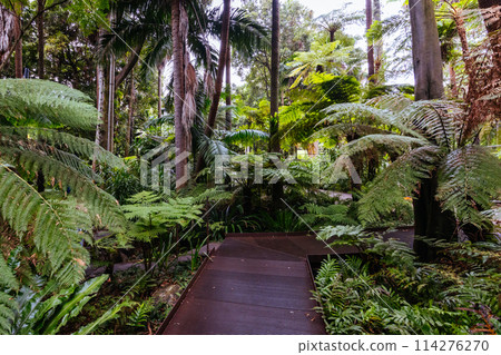 Royal Botanic Gardens in Melbourne Australia Royal Botanic Gardens in Melbourne Australia 114276270