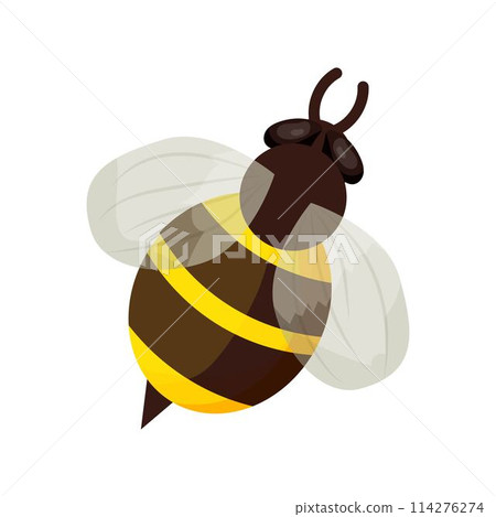 Honey bee in cartoon style isolated on white background. Detailed insect, bumble, bug with stripes. Cute clipart, decoration or design element 114276274