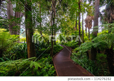 Royal Botanic Gardens in Melbourne Australia 114276282
