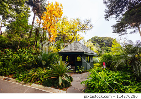 Royal Botanic Gardens in Melbourne Australia 114276286