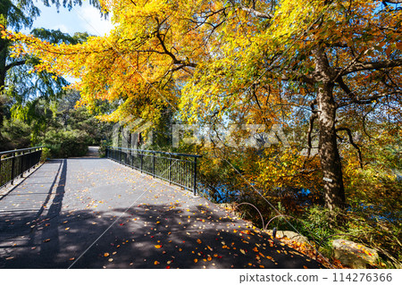 Royal Botanic Gardens in Melbourne Australia Royal Botanic Gardens in Melbourne Australia 114276366