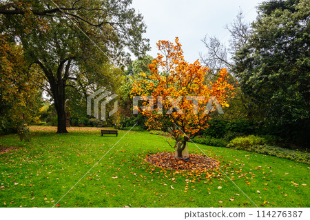 Royal Botanic Gardens in Melbourne Australia Royal Botanic Gardens in Melbourne Australia 114276387