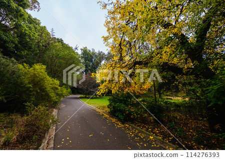Royal Botanic Gardens in Melbourne Australia Royal Botanic Gardens in Melbourne Australia 114276393