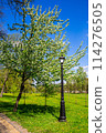 Spring in the city park 114276505