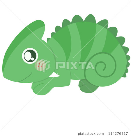 cartoon green chameleon  114276517