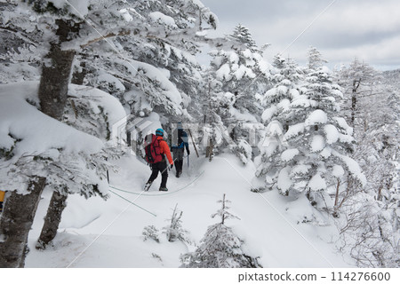 Ice-covered trees, climbers, and snowy scenery on the Shibunoyu route (Higashi-Tengu to Nakayama Pass) on Mt. Higashi-Tengu during the harsh winter in Chino City, Nagano Prefecture Ice-covered trees, climbers, and snowy scenery on the Shibunoyu route (Higashi-Tengu to Nakayama Pass) on Mt. Higashi-Tengu during the harsh winter in Chino City, Nagano Prefecture 114276600
