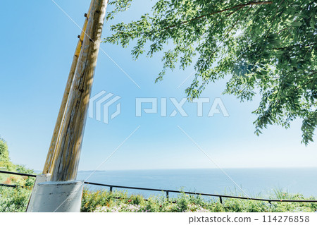 《Shizuoka Prefecture》 ACAO FOREST in Atami: A photogenic spot for social media: the flying swing 《Shizuoka Prefecture》 ACAO FOREST in Atami: A photogenic spot for social media: the flying swing 114276858