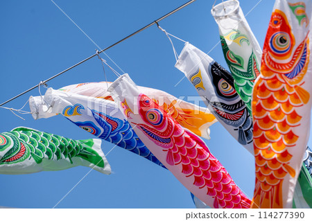 Carp streamer swimming in the blue sky Carp streamer swimming in the blue sky 114277390