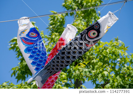 Carp streamer swimming in the blue sky Carp streamer swimming in the blue sky 114277391