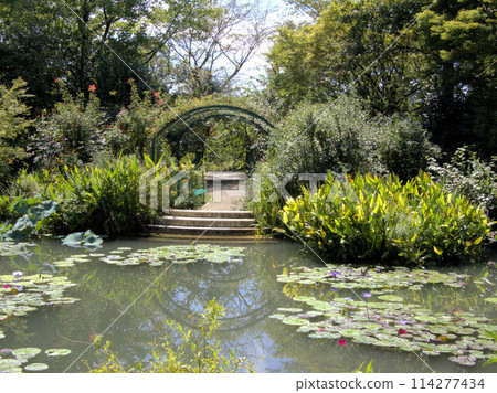 北川村「莫奈花園」 高知縣安藝郡北川村Marmottan的水上花園Notomoko 北川村「莫奈花園」 高知縣安藝郡北川村Marmottan的水上花園Notomoko 114277434